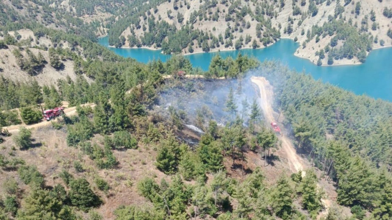 Kahramanmaraş’ta orman yangını!