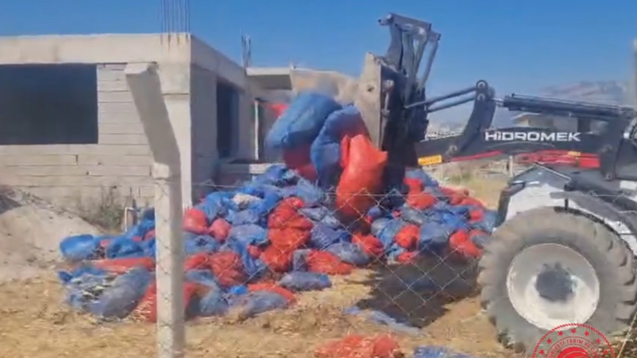 Kahramanmaraş'ta Şok Baskın: Tonlarca Domates Kurusu Ele Geçirildi
