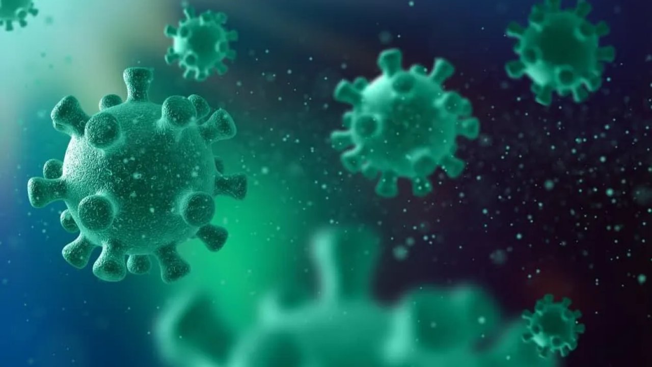 Listeria Bakterisi Nedir? Nasıl Bulaşır, Hangi Gıdalarda Bulunur?