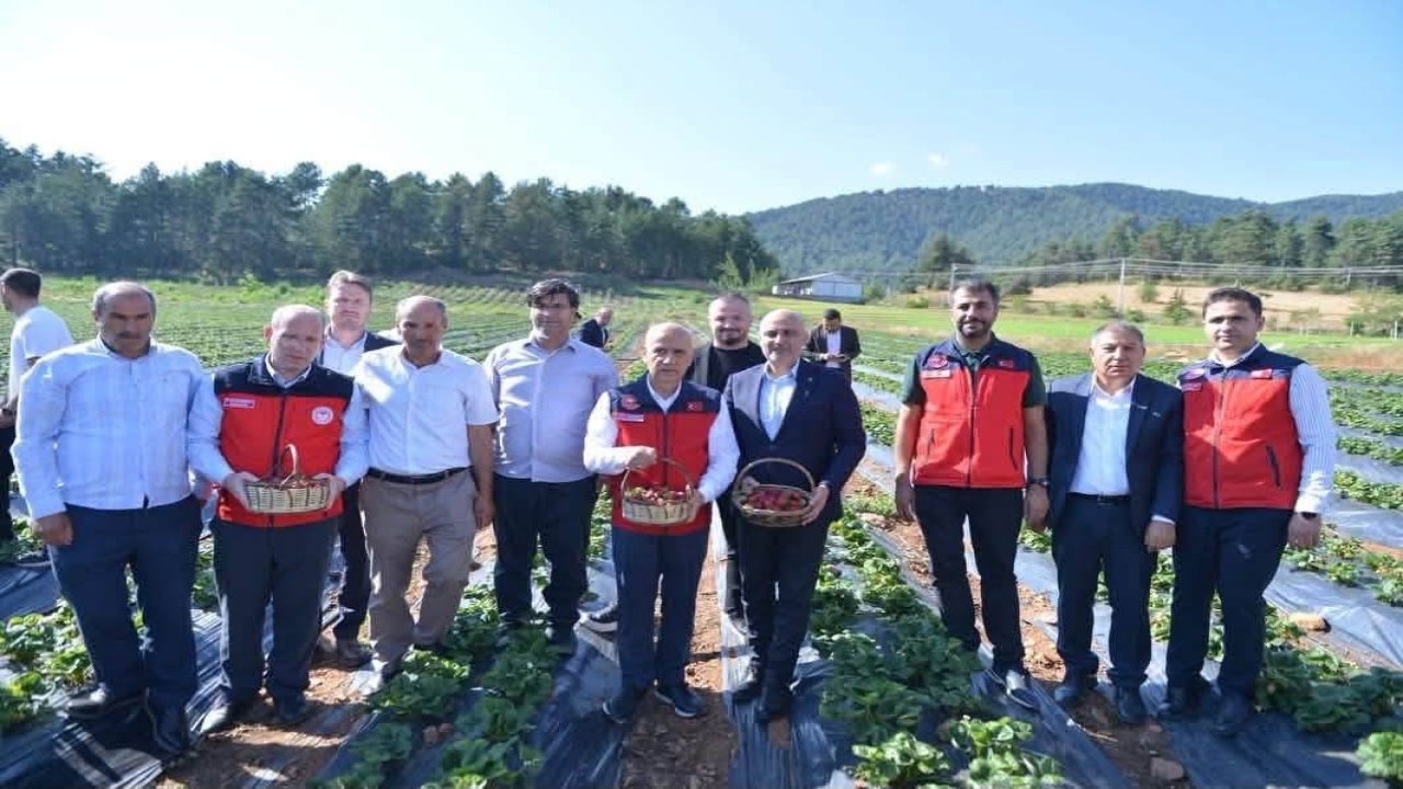 AK Parti Kahramanmaraş Teşkilatı Türkoğlu'nda Sahaya İndi!