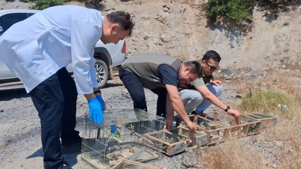Kahramanmaraş’ta kaçak avcılara 2 milyonu aşan ceza!