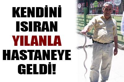 Kendisini ısıran yılanla hastaneye geldi