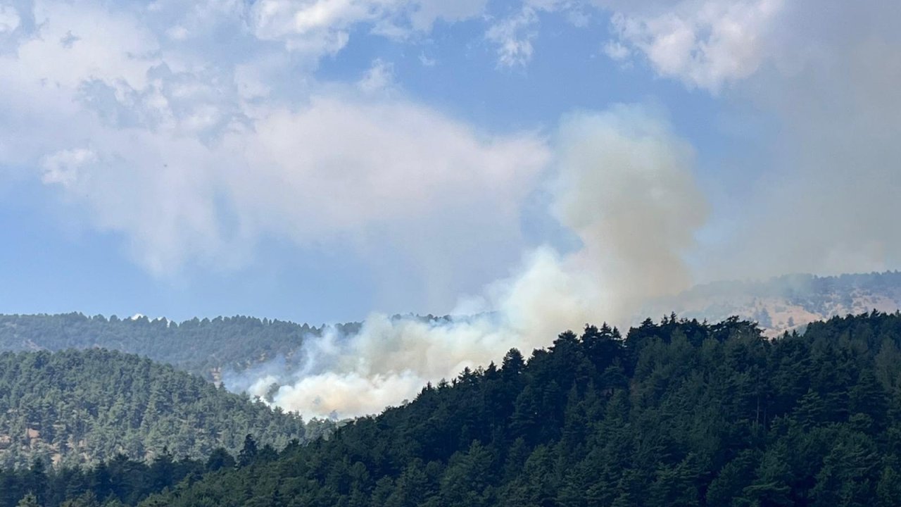 Kahramanmaraş’ta orman yangını!