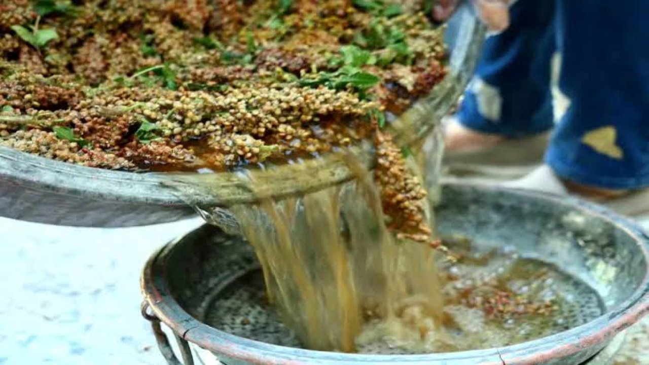 Kahramanmaraş’ta Çiftçiye Yüzde 50 Hileli Sumak Fidanı Desteği Başladı!