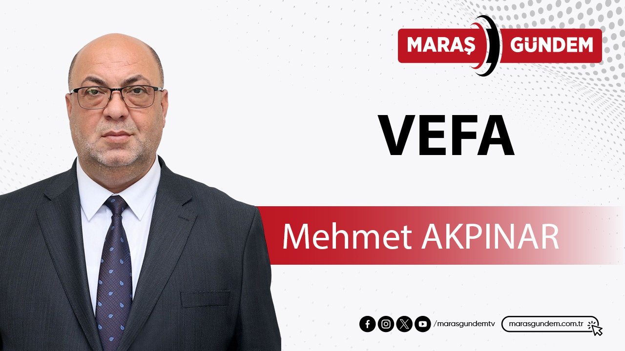 Vefa