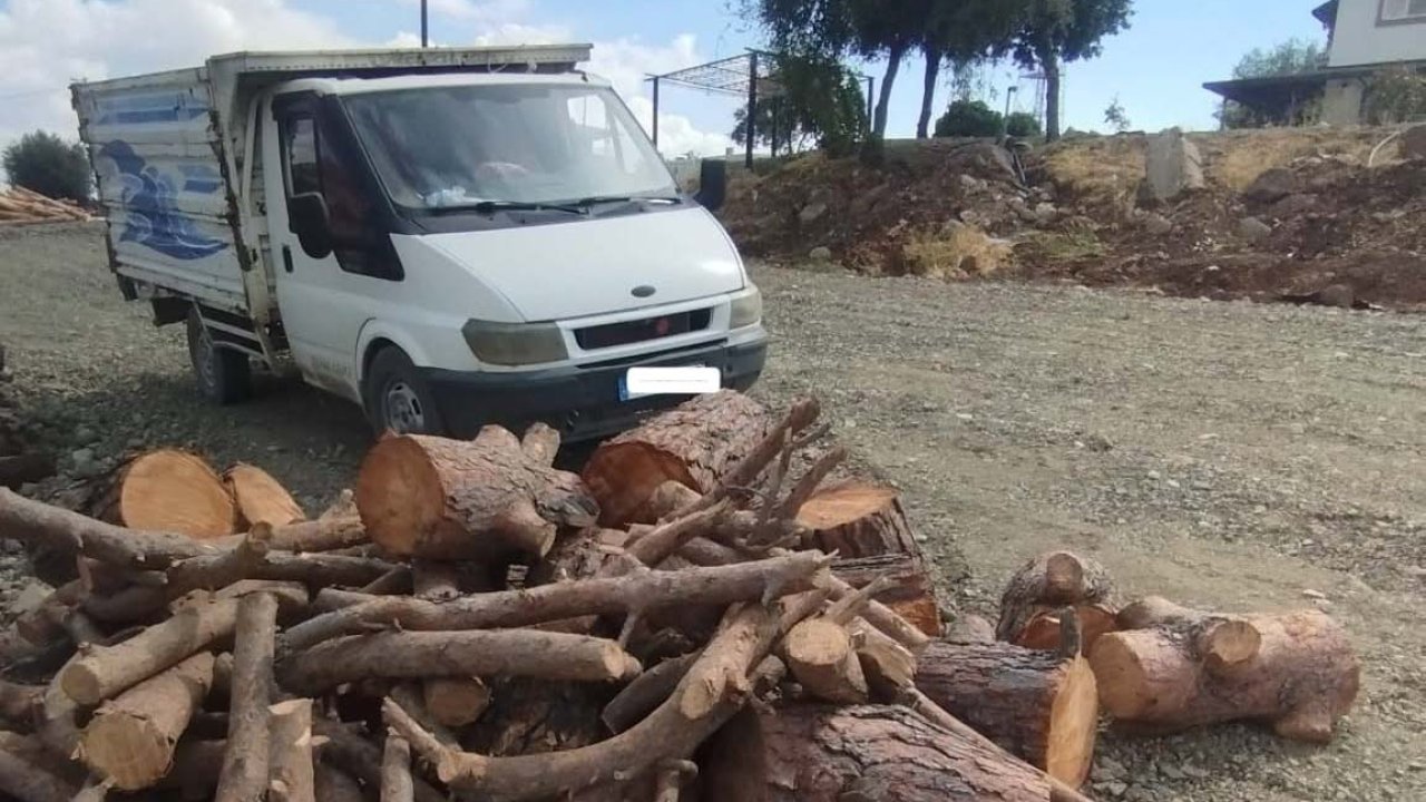 Kahramanmaraş’ta Orman Muhafaza Ekipleri Affetmedi: Kaçak Kesime Suçüstü!