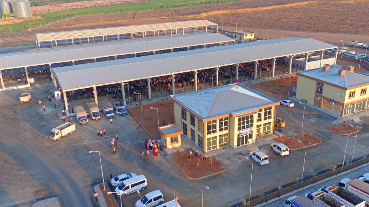 Kahramanmaraş'ta Canlı Hayvan Borsası Geçici Olarak Kapatıldı!