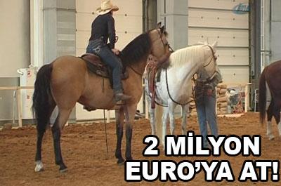 2 milyon Euroya at!