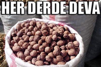 Ceviz, her derde deva