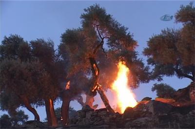 Aydın Dağları Alev Alev