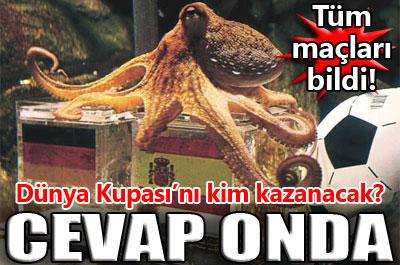 Paul yine bildi!