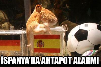 İspanyada ahtapot alarmı