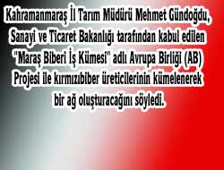 MARAŞ BİBERİ İŞ KÜMESİ PROJESİ