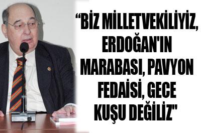 Anadol: Recep Tayyip Erdoğanın marabası değiliz