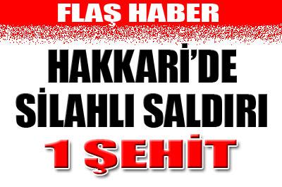 Hakkaride silahlı saldırı: 1 şehit