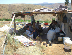 Tüik, Ekinözünde Araştırma Yaptı