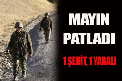 Vanda mayın patladı: 1 şehit