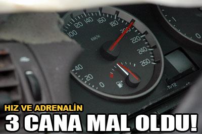 Yüksek hız 3 kişinin canına mal oldu