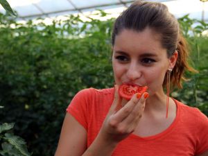 Atiye İlk Kez Dalından Domates Kopardı