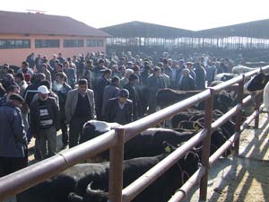 Hayvan Borsasında temizlik ve hijyen çalışmaları tamamlandı