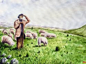 Yaban domuzunun saldırısına uğrayan çoban yaralandı