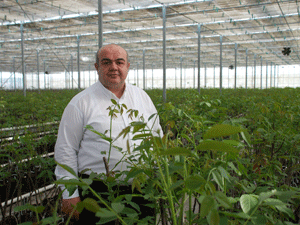 Aksu Tarım’dan Ceviz Atağı