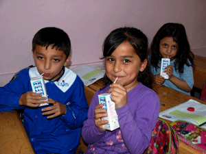 Sakız ve Süt 18 Öğrenciyi Hastanelik Etti