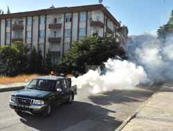 Belediyemiz İlaçlama İşlemlerini Sürdürüyor