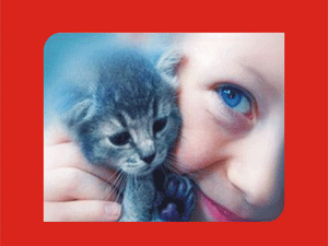 Hayvan sevgisi ilköğretim çağında verilecek