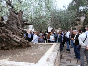 Demirçelik Sektöründe Yatırım Arayışları