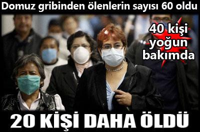 Domuz gribi 20 can daha aldı