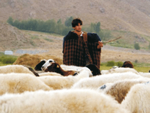 3 günde 2 Çobanı Yıldırım Çarptı