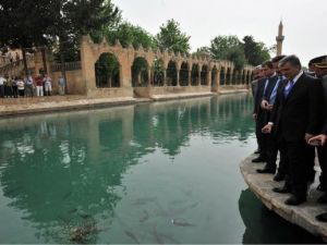 Cumhurbaşkanı Gül, Galatasarayı Twitterdan Kutladı