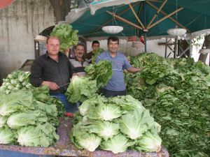 Marulun Tanesi 50 Kuruşa Düştü