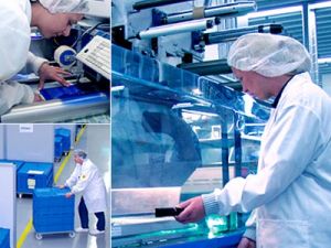 Lapiden Markasının Üreticisine, Gmp Belgesi