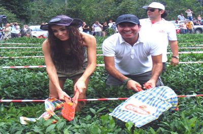 Manken Şenkal çay topladı 