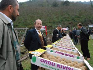 Kivi Birlikleri Çözüm Bekliyor