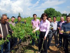 Chp’li Öz, Dolu Felaketini Meclis Gündemine Taşıdı