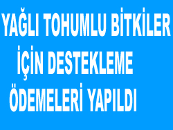 YAĞLI TOHUMLU BİTKİLER İÇİN DESTEKLEME ÖDEMELERİ YAPILDI
