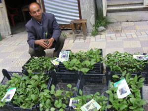 Kahramanmaraştan kısa kısa