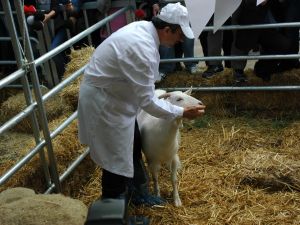 Bakan Eker, Aoçdeki Dünya Süt Günü Kutlamalarına Katıldı