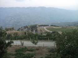 MHP’nin Bertiz çıkartması