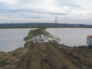 İpsala’da 10 Bin Dönüm Ekili Çeltik Alanı Yağmurdan Zarar Gördü