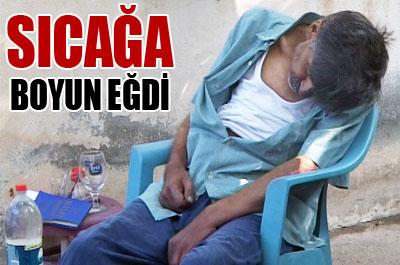 Sıcak hava öldürdü!