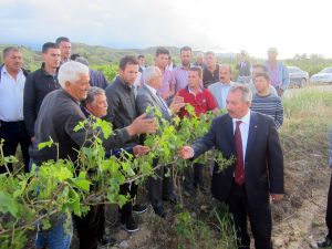 Ören, Manisa’daki Dolu Afetini Meclis Gündemine Taşıdı