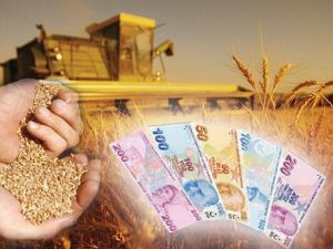 Samsun Çiftçisine 8.2 Milyon Tl’lik Destek