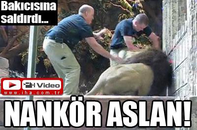 Nankör aslan! 