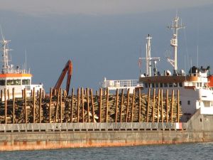 Doğu Karadeniz’de Tarım İhracatı