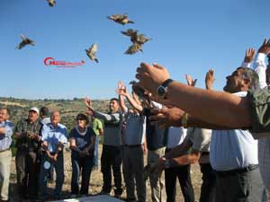  Pazarcıkta 200 kınalı keklik doğaya bırakıldı.