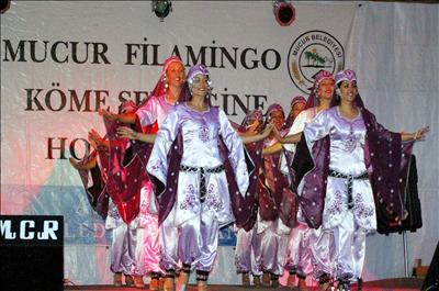 Mucur Köme ve Flamingo Festivali çoşkulu geçti